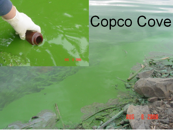 Sampling Copco Reservoir