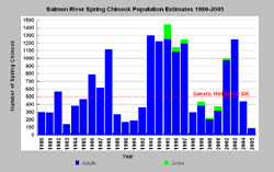 Salmon River spring chinook population chart