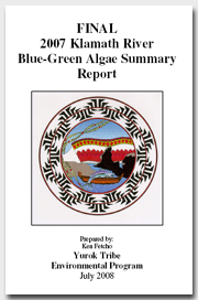 Yurok Blue Green Algae Report