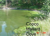 Copco Mallard Cove