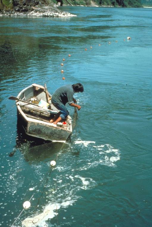 Yurok Fisherman with gill net in Klamath River